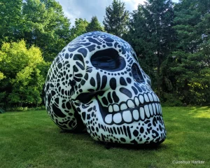 blow up art skull